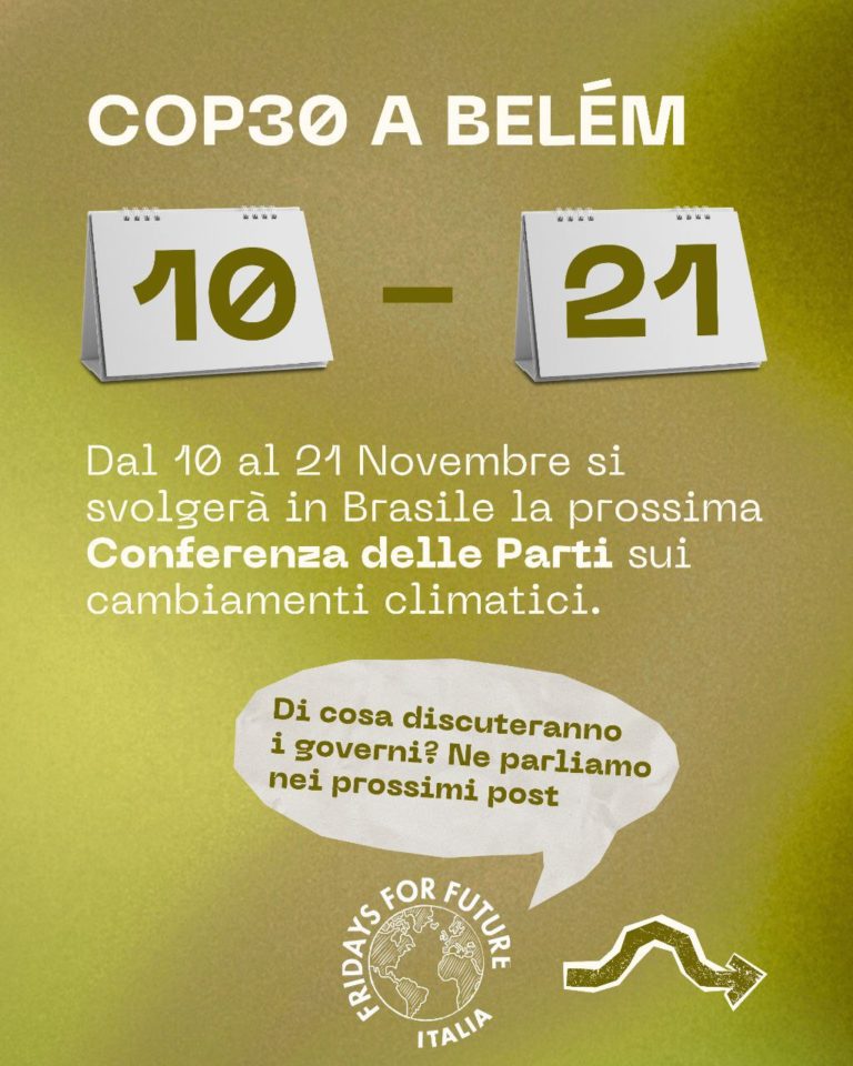 photo_2025-10-07_18-41-15 (2)