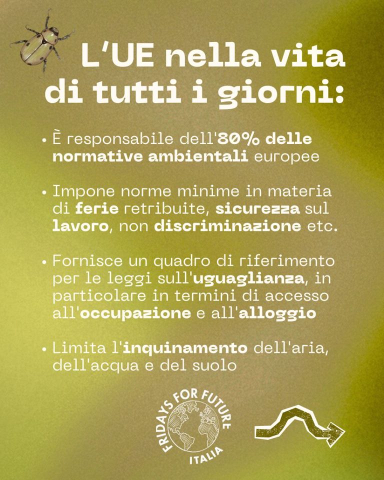 photo_2025-10-10_13-29-06