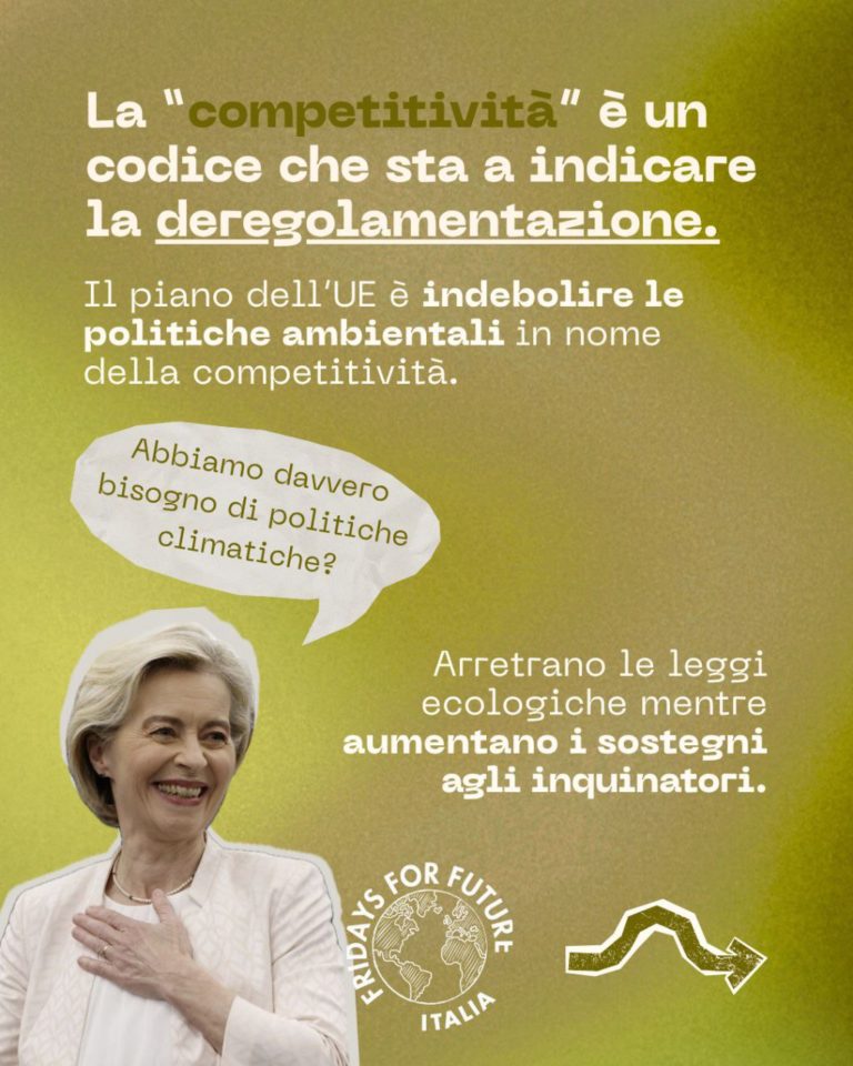 photo_2025-10-10_13-29-07 (3)