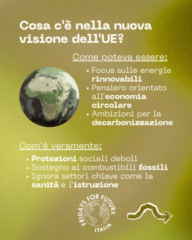 photo_2025-10-10_13-29-07 (4)