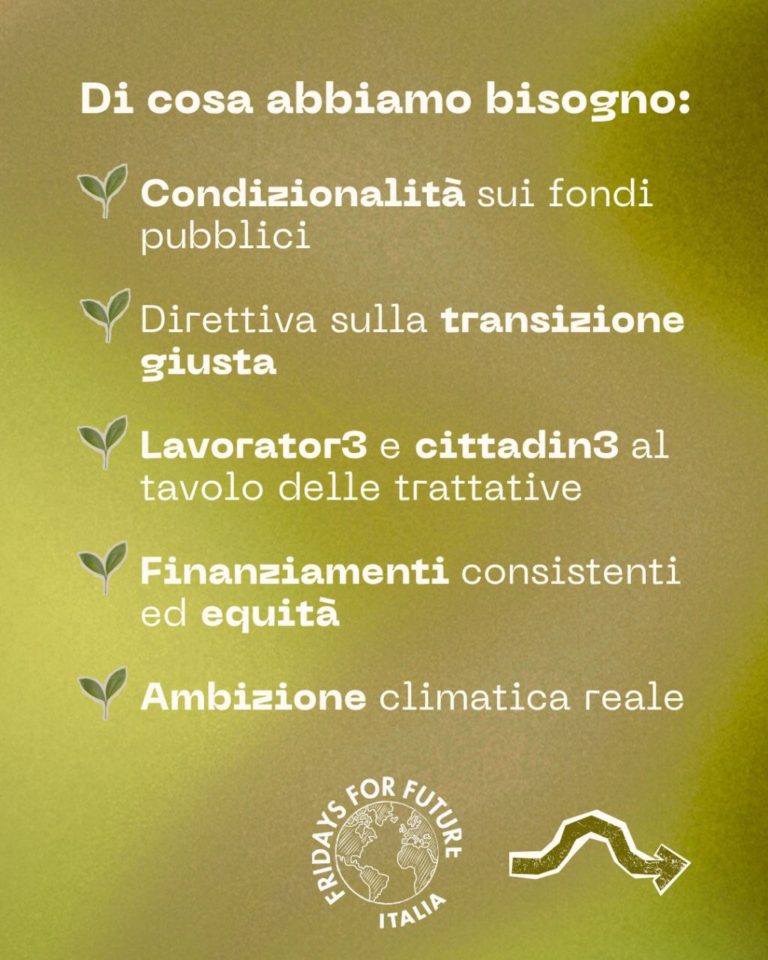 photo_2025-10-10_13-29-08 (3)