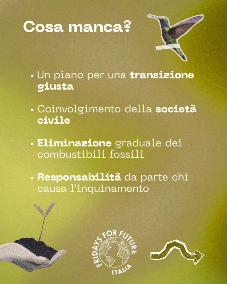 photo_2025-10-10_13-29-08