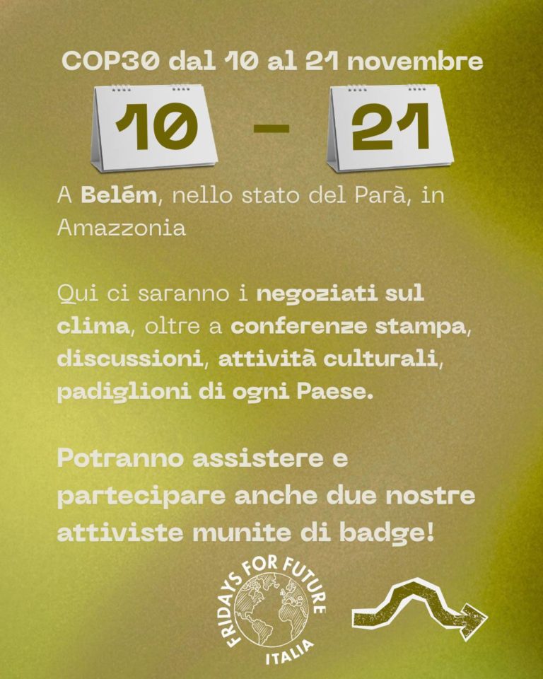 photo_2025-10-13_21-17-20