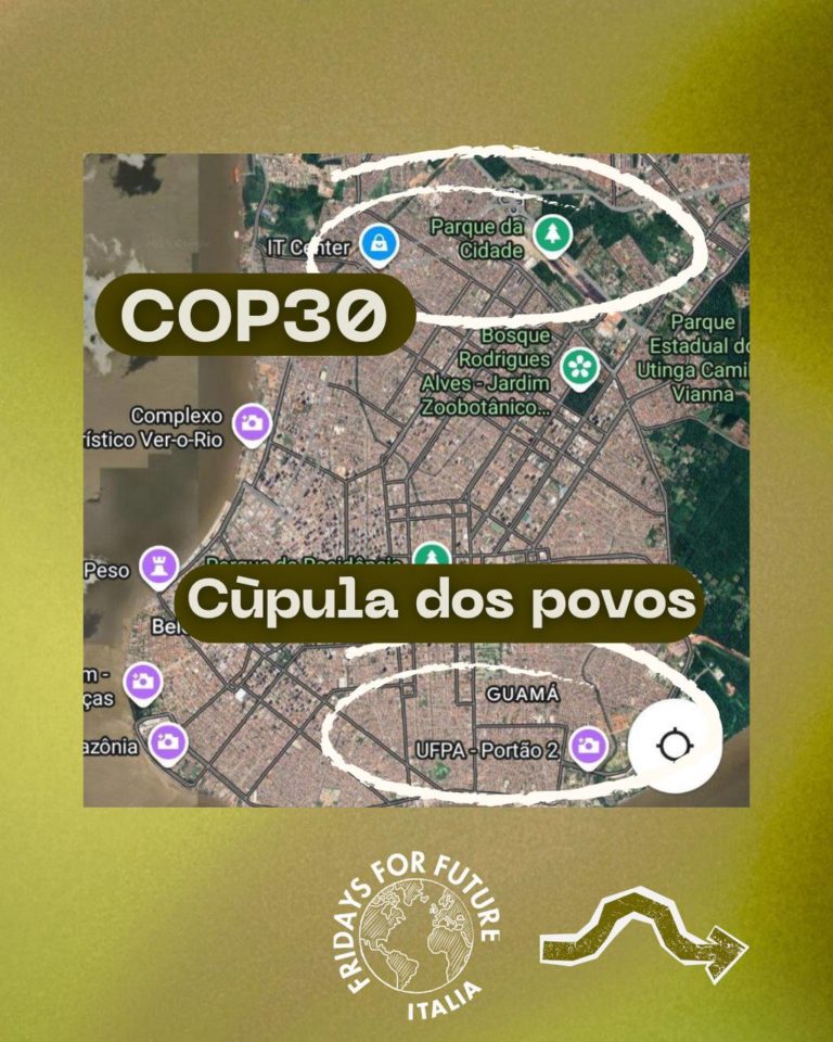 photo_2025-10-13_21-17-27