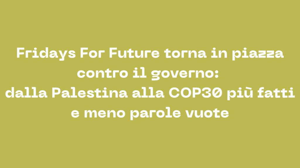 Fridays For Future torna in piazza contro il governo: dalla Palestina alla COP30 più fatti e meno parole vuote