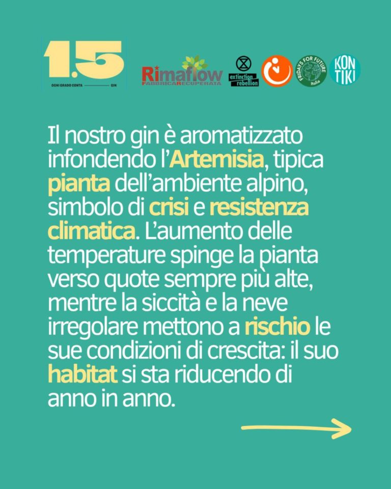 photo_2025-12-08_12-17-28