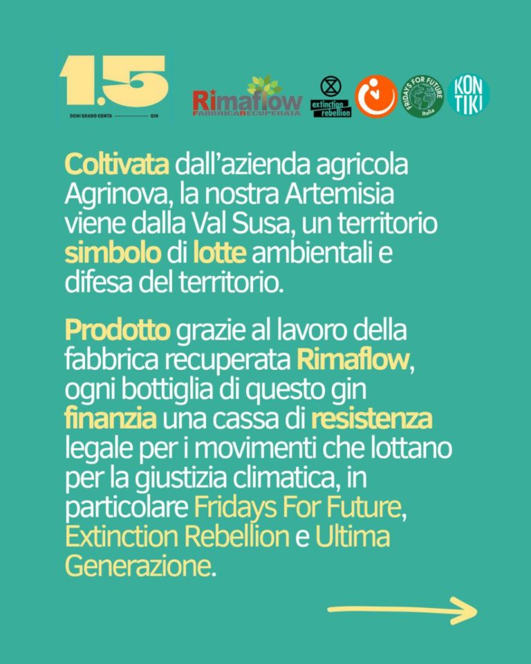 photo_2025-12-08_12-17-29