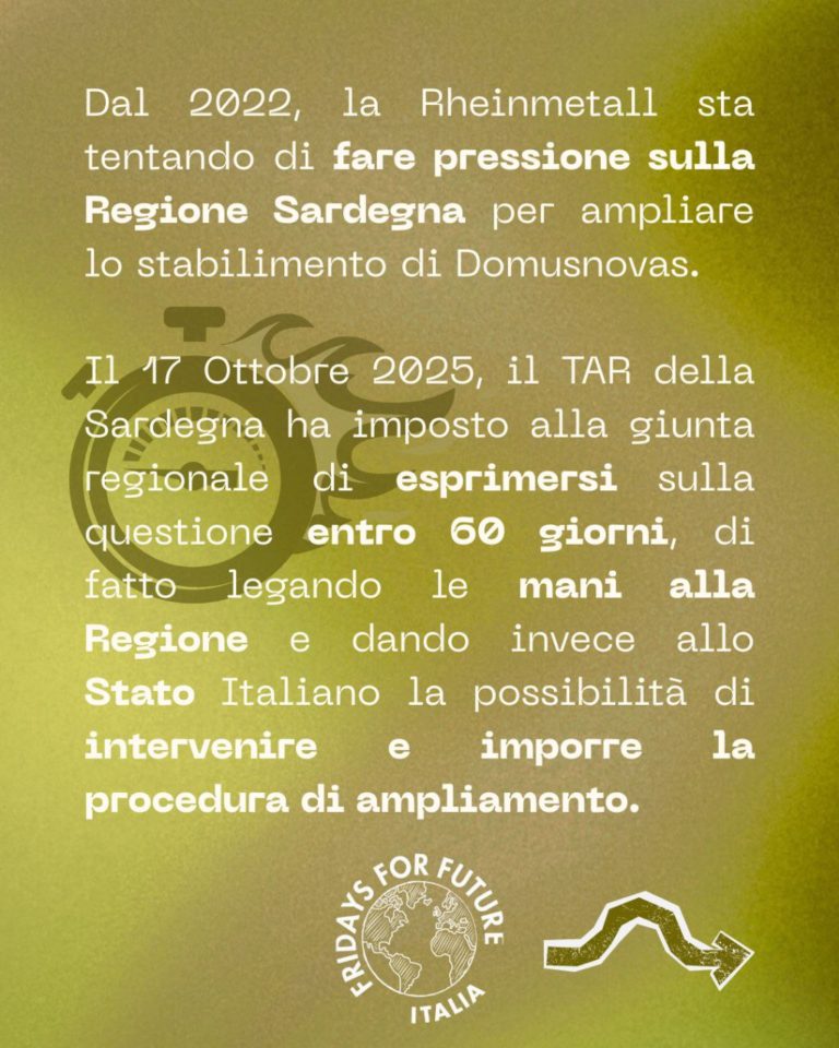 photo_2025-12-10_20-45-57 (2)