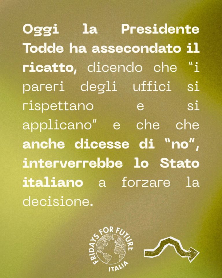 photo_2025-12-10_20-45-58 (2)