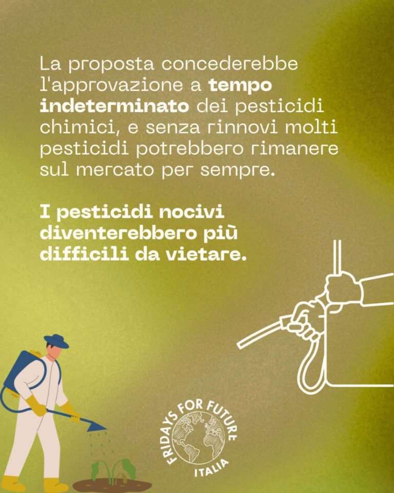 photo_2025-12-15_21-32-49 (2)