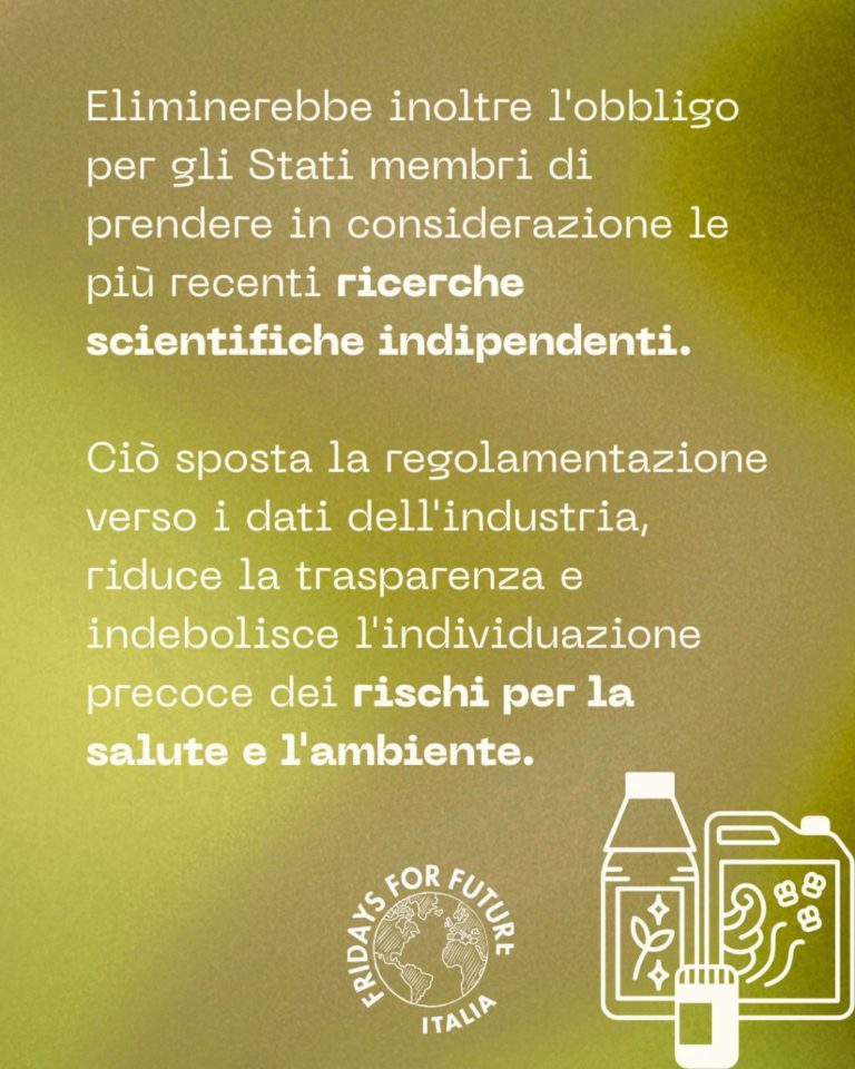 photo_2025-12-15_21-32-50