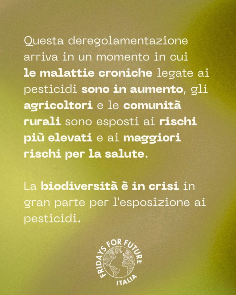 photo_2025-12-15_21-32-51 (2)