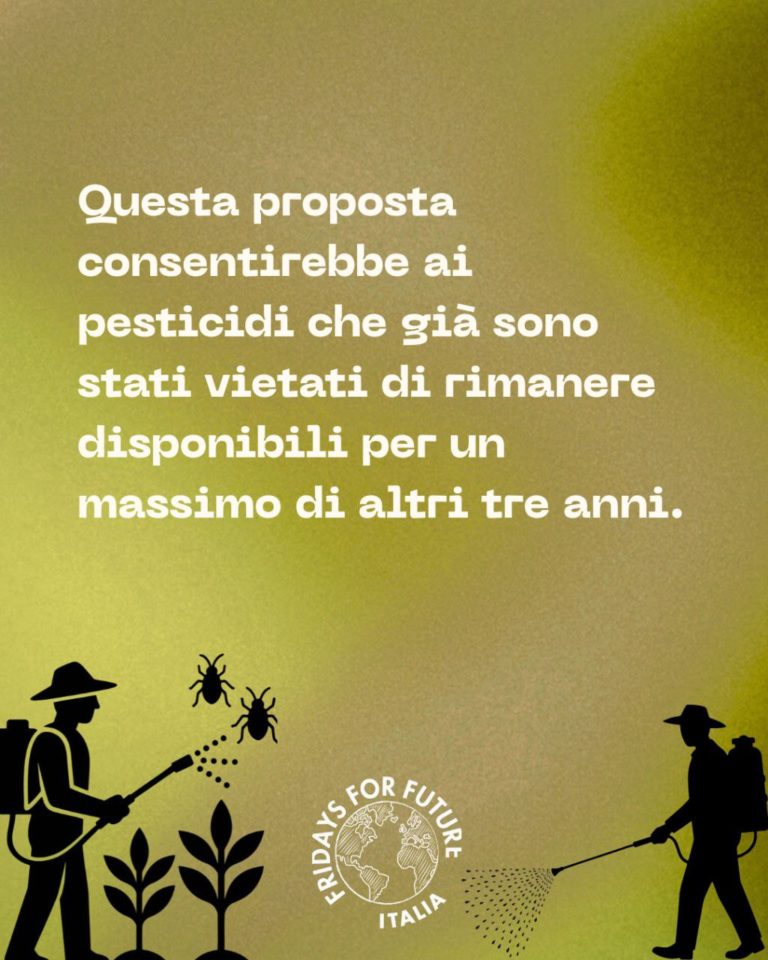 photo_2025-12-15_21-32-51