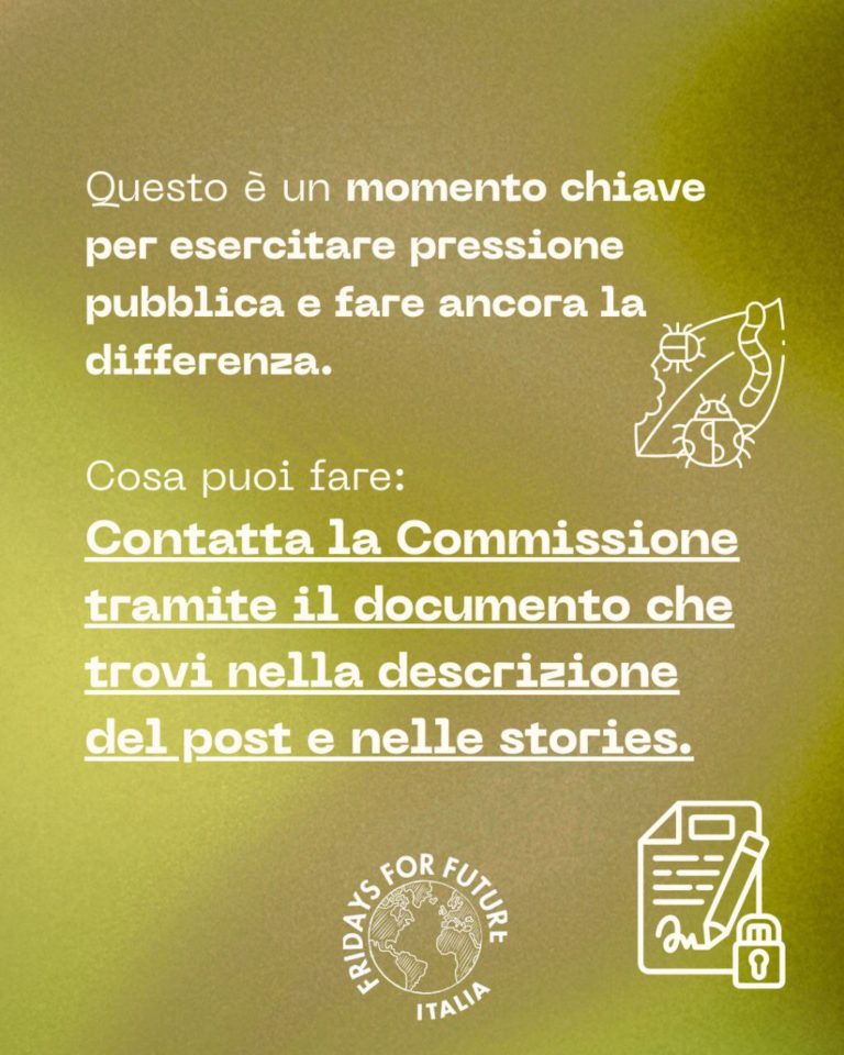 photo_2025-12-15_21-32-52