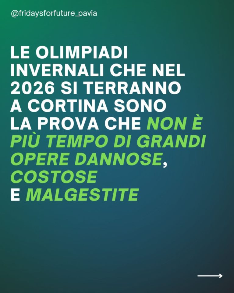 photo_2026-01-04_11-04-22 (2)