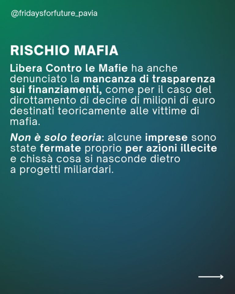 photo_2026-01-04_11-04-25