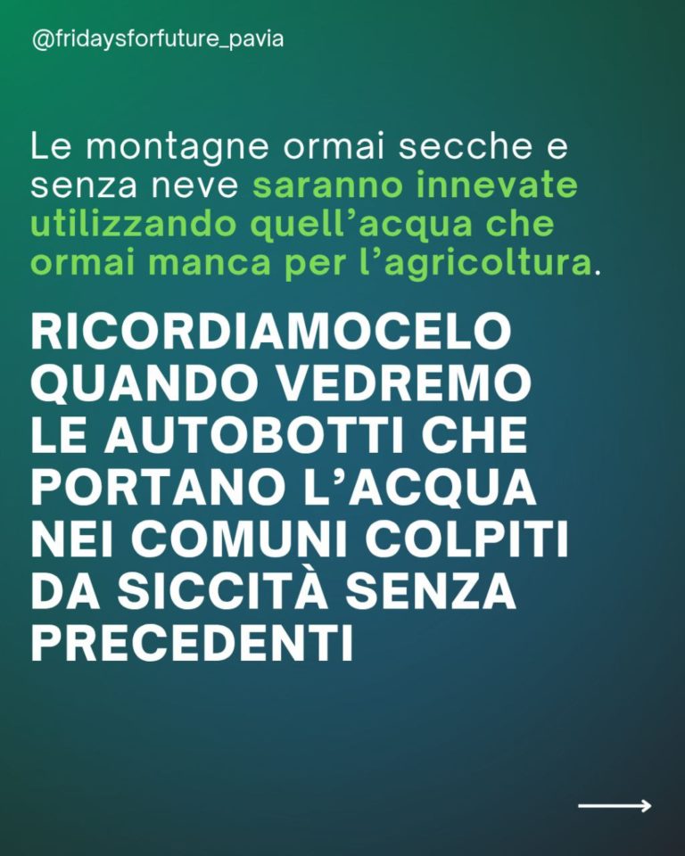 photo_2026-01-04_11-04-30