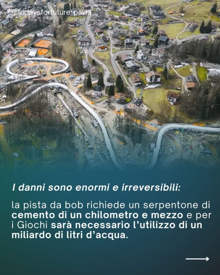 photo_2026-01-06_11-09-05