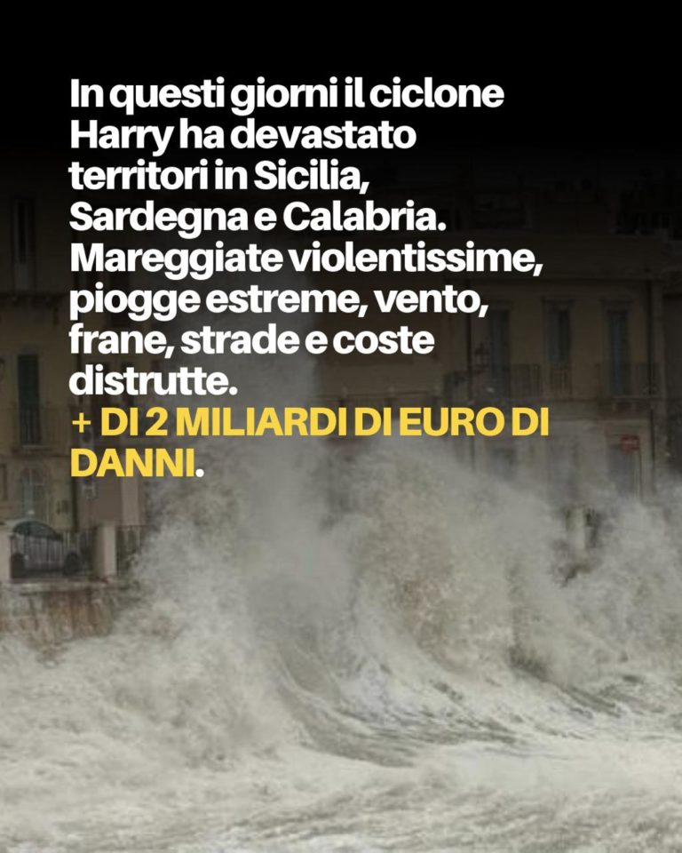 photo_2026-01-24_13-49-54 (2)