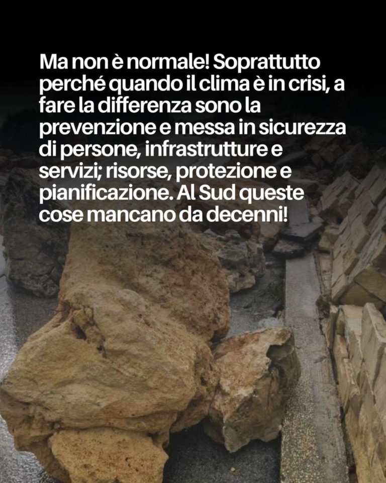 photo_2026-01-24_13-49-55 (2)