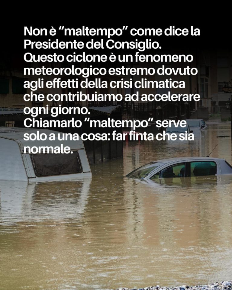 photo_2026-01-24_13-49-55