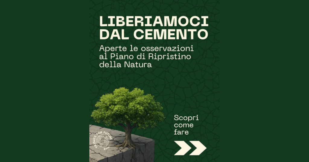 Liberiamoci dal cemento. Aperte le osservazioni al piano di ripristino della natura