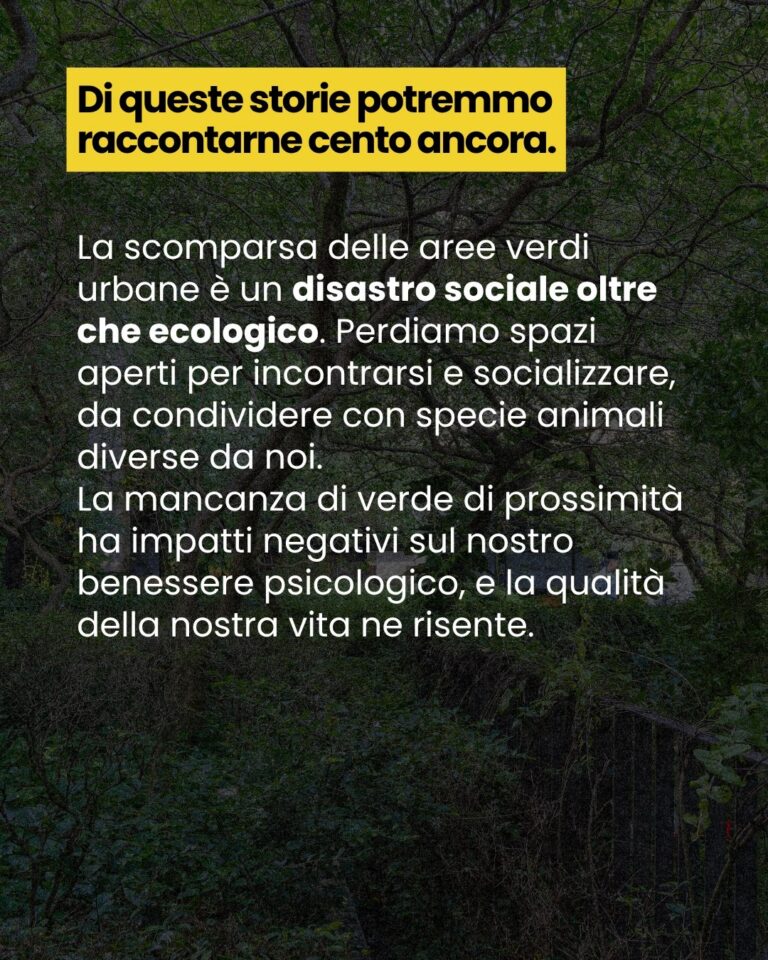 lo abbiamo vissuto sulla nostra pelle 11