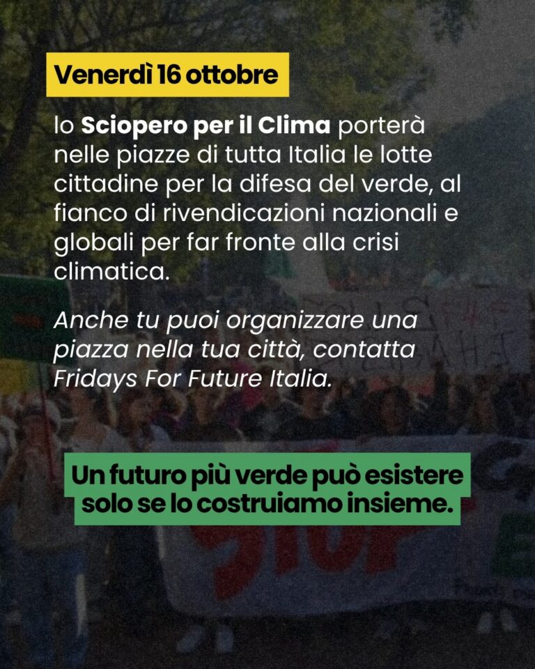 lo abbiamo vissuto sulla nostra pelle 13