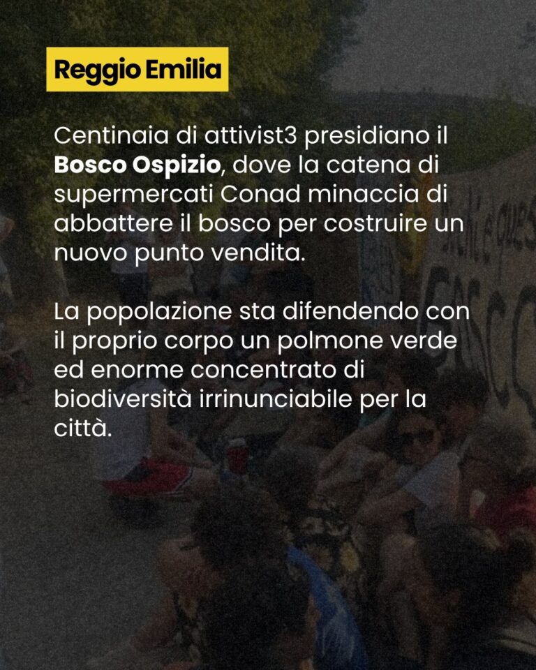 lo abbiamo vissuto sulla nostra pelle 5 REGGIO EMILIA