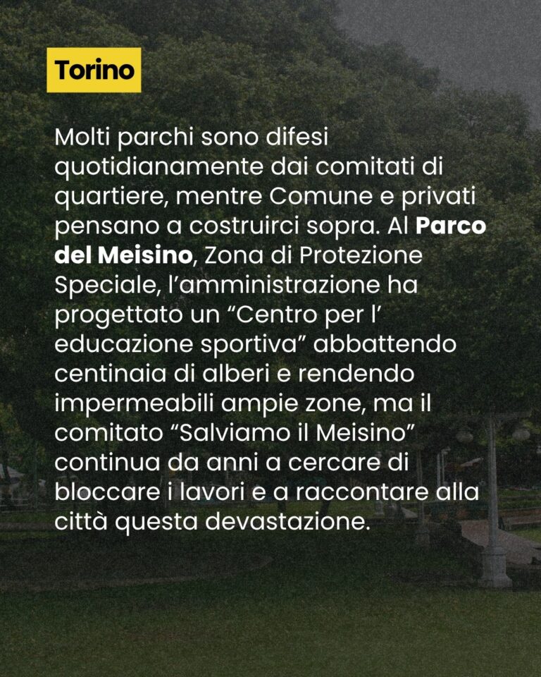 lo abbiamo vissuto sulla nostra pelle 6 TORINO