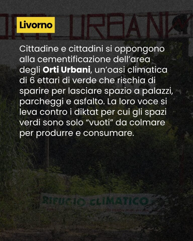 lo abbiamo vissuto sulla nostra pelle 7 LIVORNO
