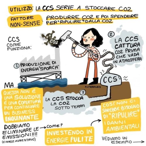 ccs vignetta 2