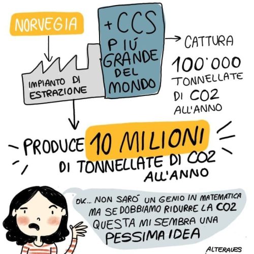 ccs vignetta 3