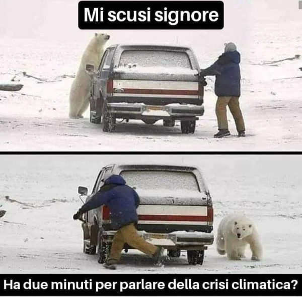 circolo polare artico meme